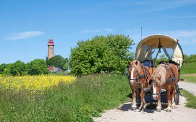 Haus am Meer Ostsee Insel Rügen Fischerweg 3 Wlan