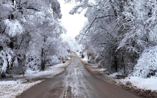 Taos Goji Farm & Eco-Lodge Retreat
