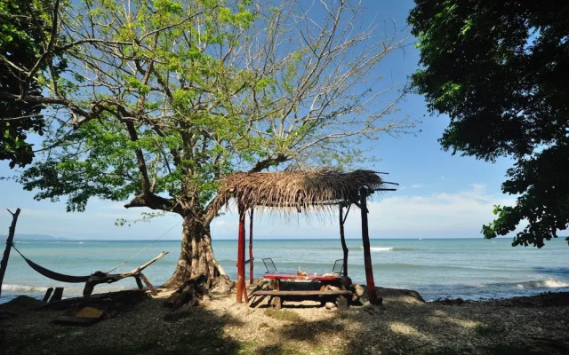 The Howler Monkey Hotel