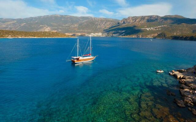 Blue Cruise