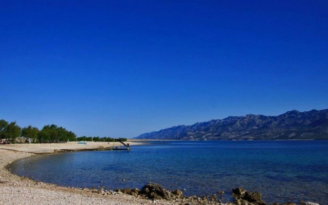 Mario - With Garden - A1