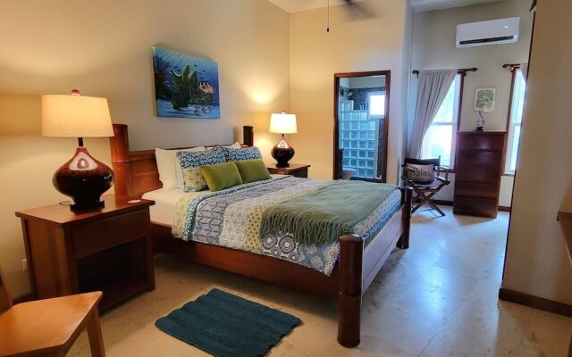 Indigo Belize
