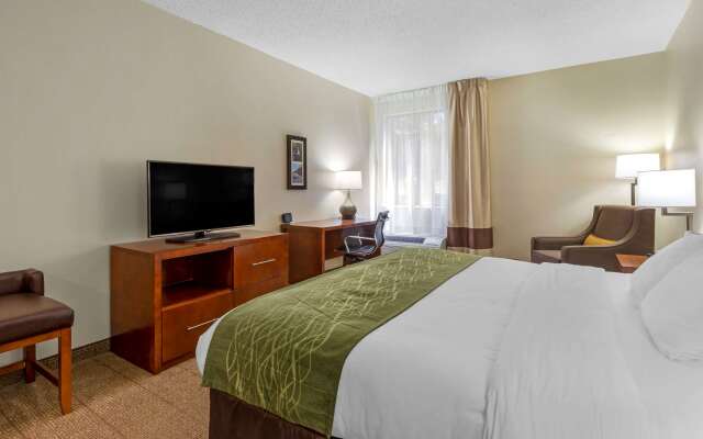 Comfort Inn & Suites Lenoir Hwy 321 Northern Foothills