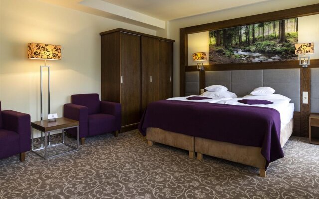 Hotel Mercure Krynica Zdrój Resort&Spa