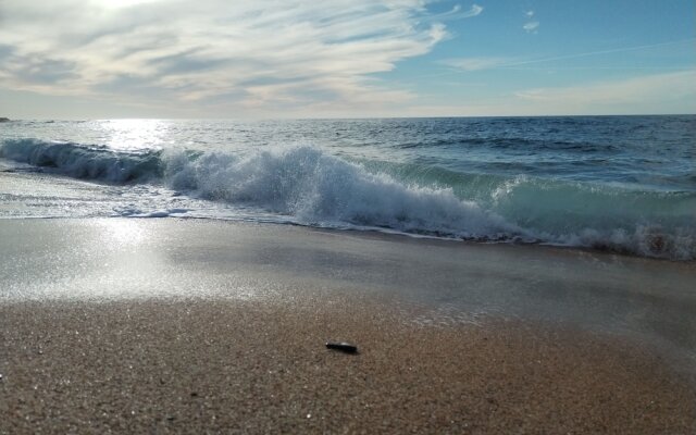 a Vacation That Becomes a Dream