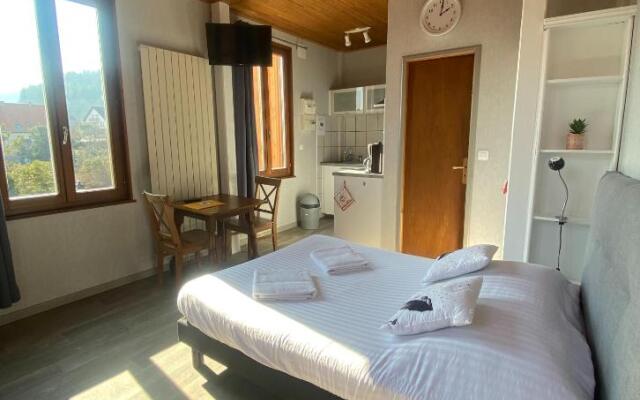 PINOT GRIS - Charmant studio