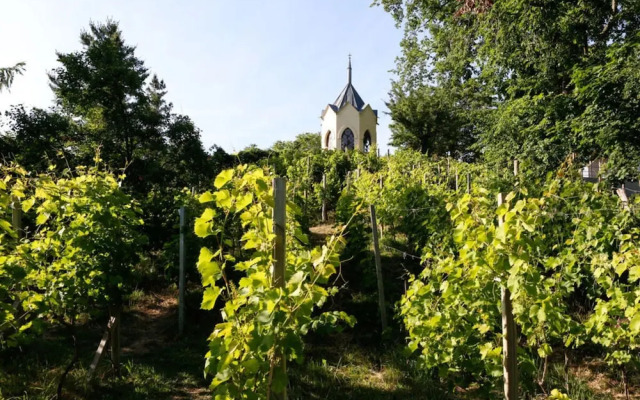 Holiday Apartment Remise - Loft