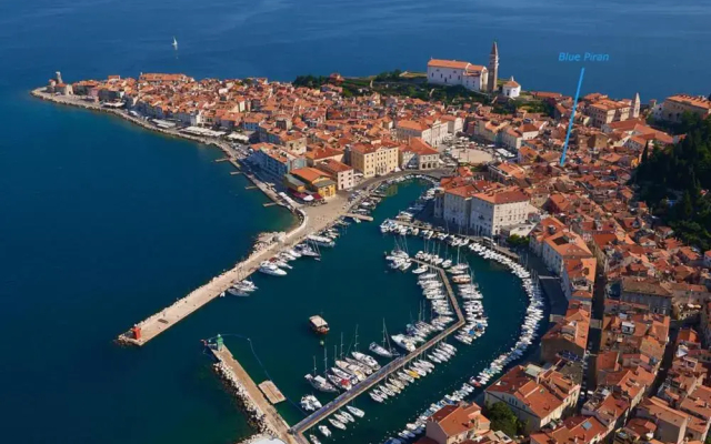 Blue Piran