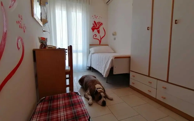 Kristalex Pet Family Hotel