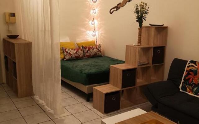 Calm & Cosy, magnifique T1 proche CHU