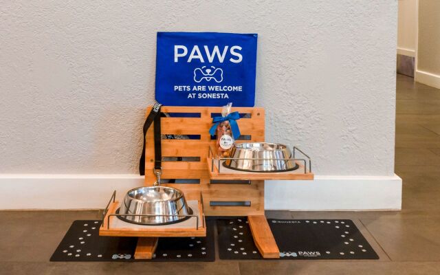 Sonesta Simply Suites Falls Church