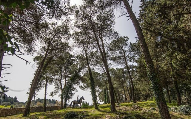 Casale Dei Pini - Nature Room