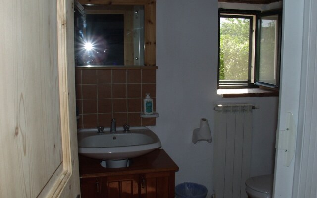 Codavolpe Giardino di Tea