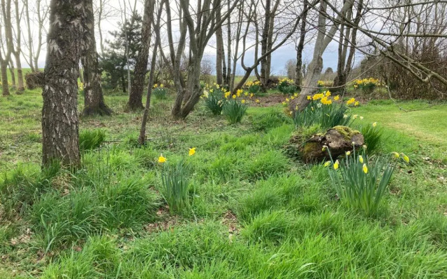 African Safari Guest Lodge