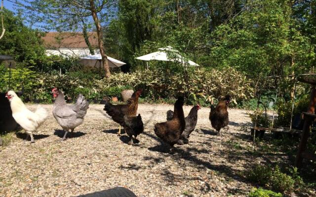 Chambres d'hôtes du Jardin Francais