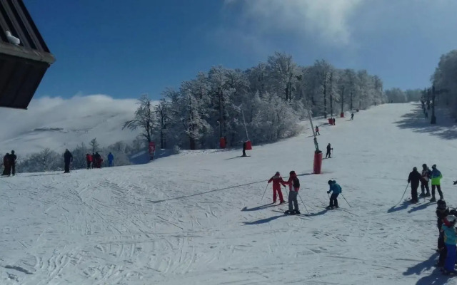 Les feignes cerfdoré