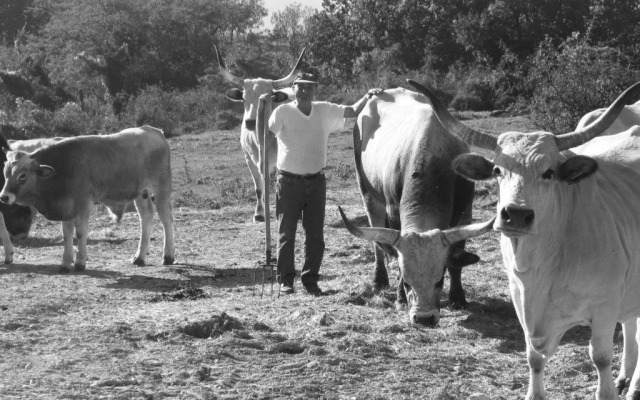 Fattoria Bio L'A Ceccoli