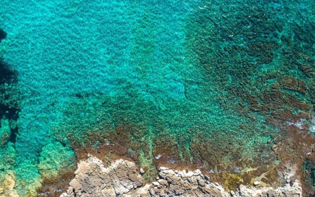 2247 Residence Anna - Appartamento Astice