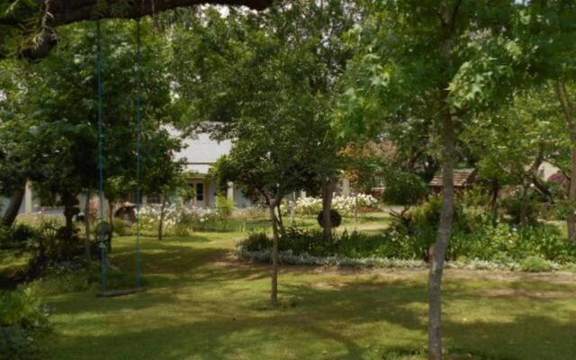 Fleur Bleue & the Timber Frame