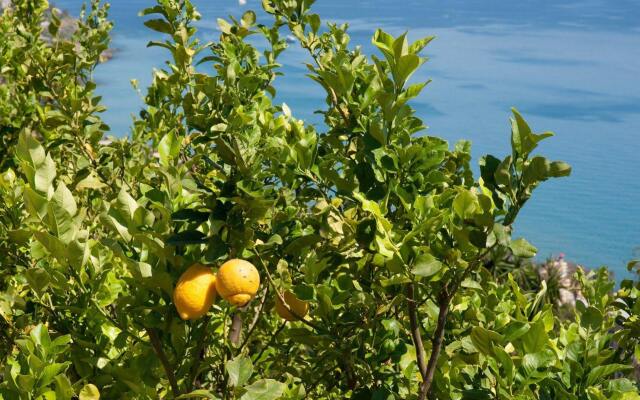 Le Terrazze Appartamenti Vacanze