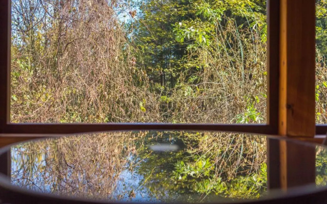 Wypoczynek pod Lipą