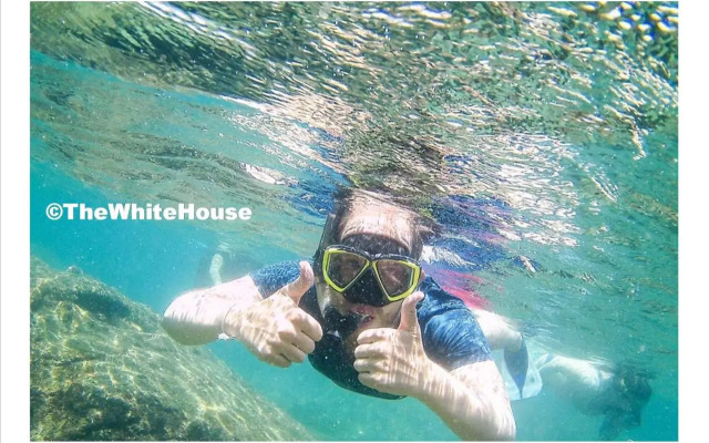 The White House
