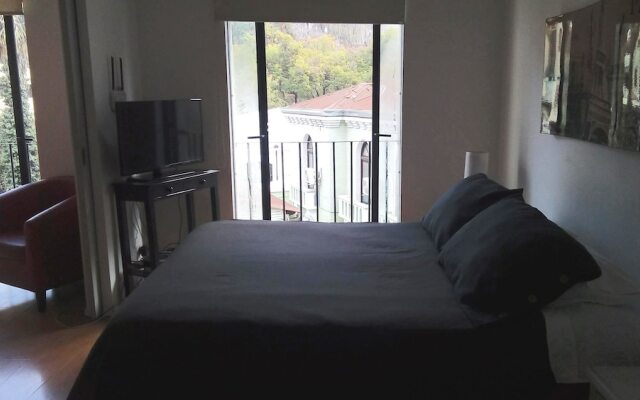 Rukaza Lastarria