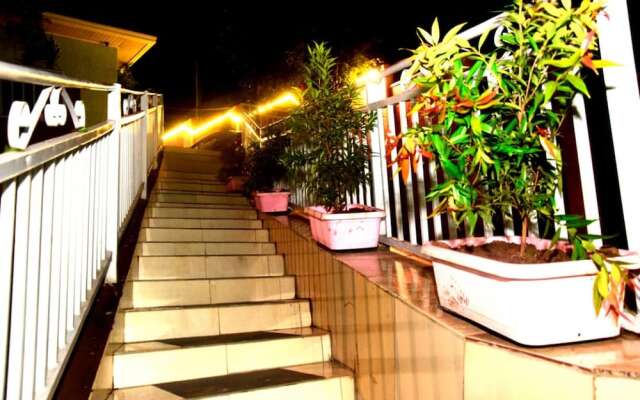 Zebra Tourism  Hotel