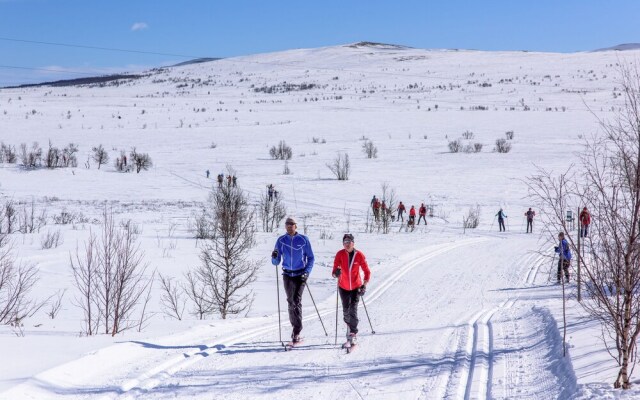 Torsetlia Fjellstue og Hyttegrend