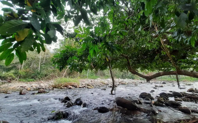 Chalé c/cachoeira a 17 minutos de carro da praia