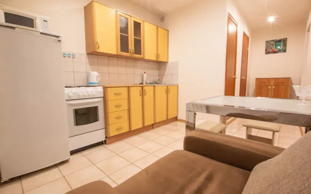 Apartment on Vesny 17