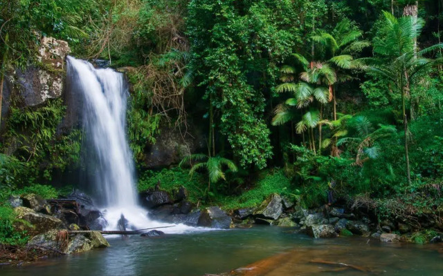 Pethers Rainforest Retreat