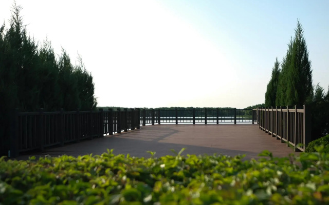 Volgino