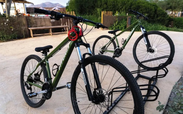 TAIGA Almeria Playa