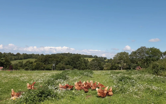 The Cider Shed