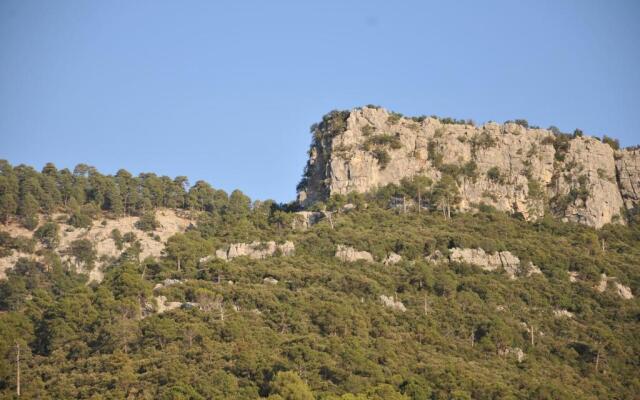 Alojamientos Rural Tejerina