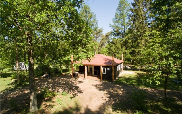 Bungalow With Terrace, not far From Assen