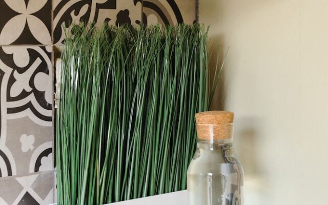 Upscale 4BR House in Condesa