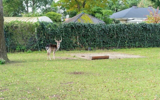 Delightful Chalet in Putten with Garden
