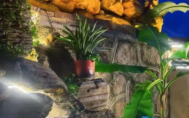 Yan's Courtyard