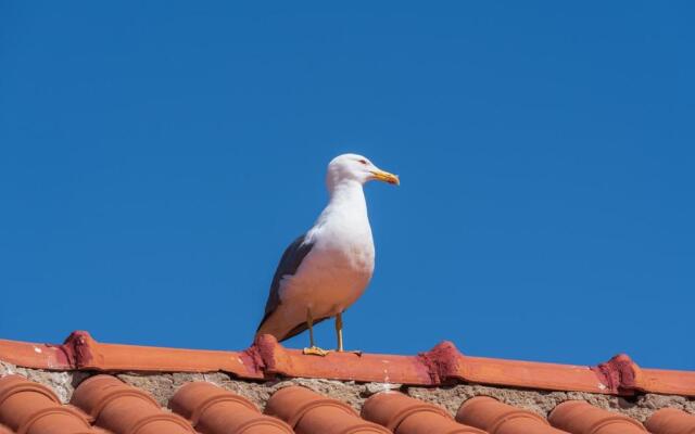 Sea Front Terrace Marco Polo