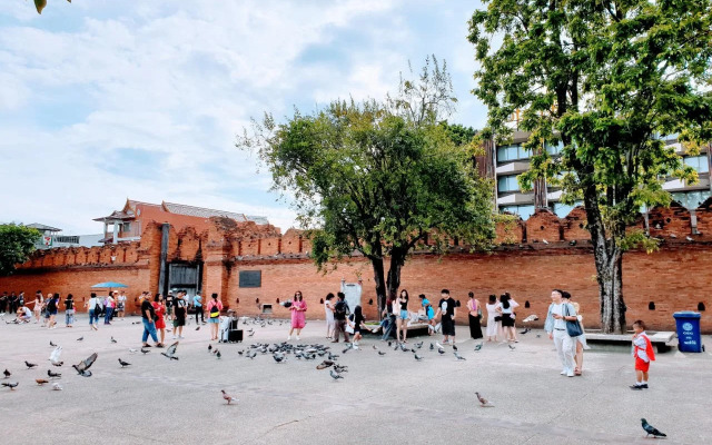 Bed and Terrace Guesthouse Chiang Mai