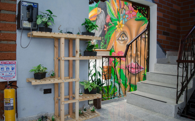 Hostal Pura Vida La 70