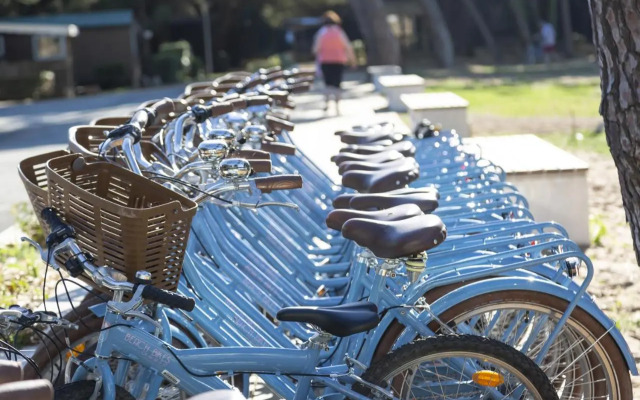 Domaine Résidentiel de Plein-Air Les Tamarins