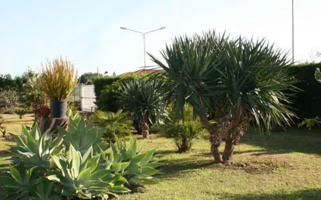 Casa Allegra Etna-Mare
