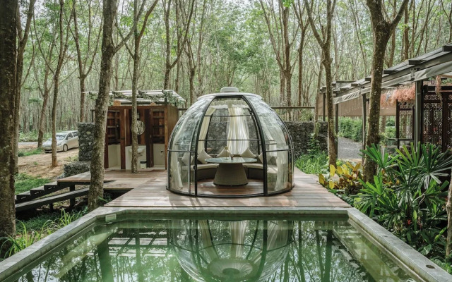Timber Society Boutique Hideaway
