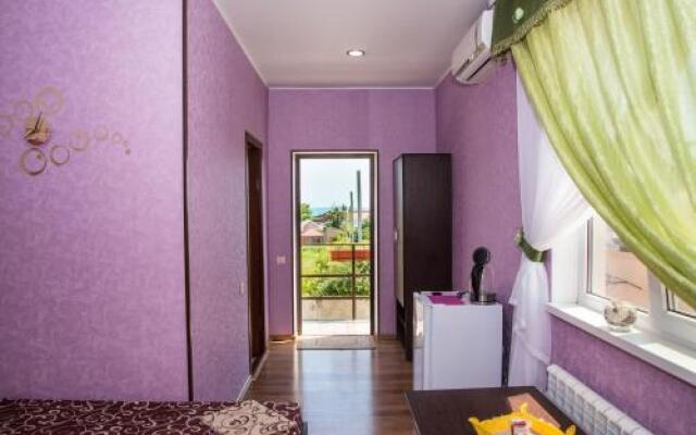 V Aleksino Guest house