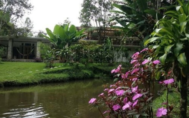 Paraiso San José - Hostel