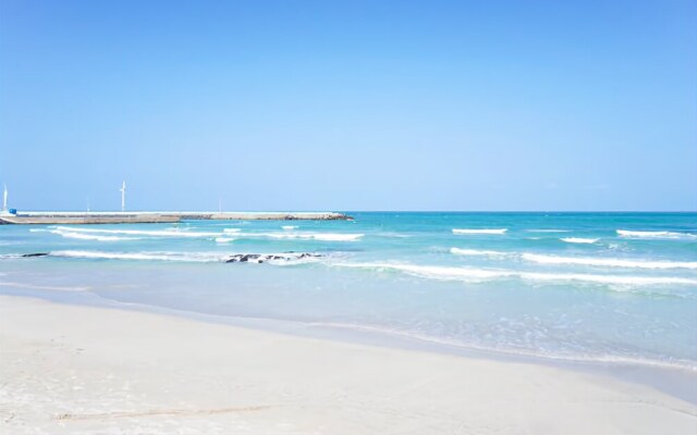 Jeju Dalbit Goeun Pension