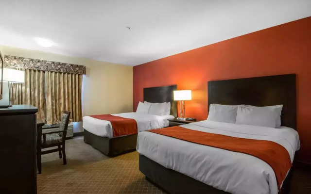 Comfort Inn & Suites Airport South